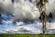 古北香格里拉窗帘安装服务全攻略