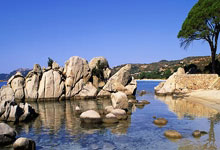 面包车窗帘高度调节技巧分享